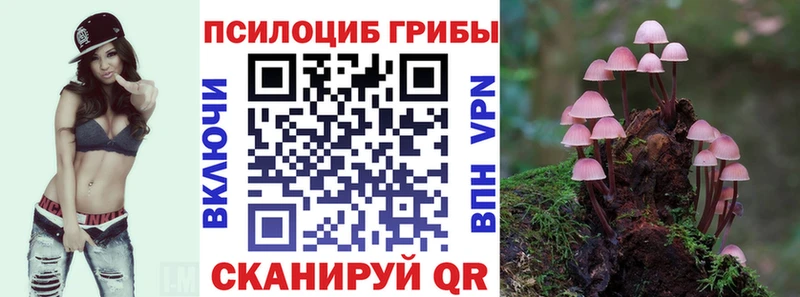 Галлюциногенные грибы Cubensis  Купить закладки  Волоколамск 